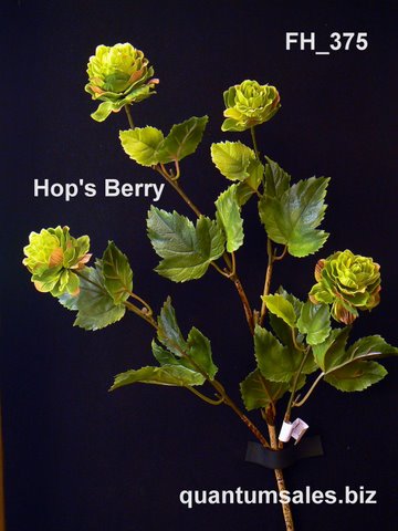 Hop's Berry ( $2.70 )