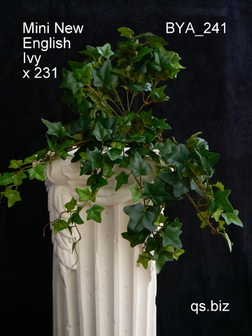 Mini New English Ivy x 241  ( $3.00 )
