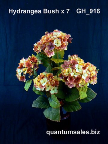 Dry Hydrangea Bush x 7 ( $7.90 )